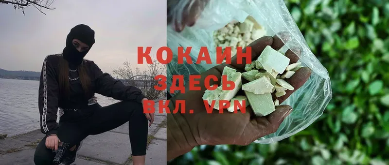 COCAIN Fish Scale  mega   Старая Купавна 