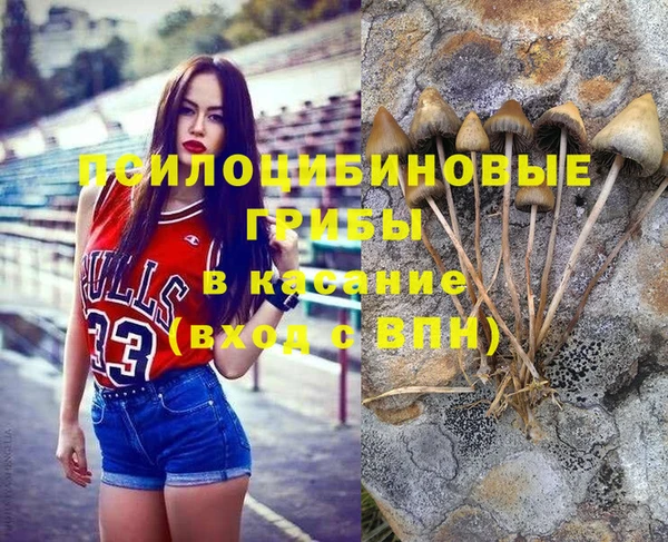 гидра Нязепетровск