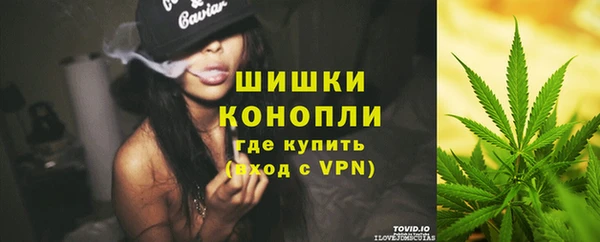 не бодяженный Новодвинск