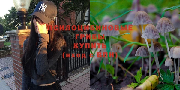гидра Нязепетровск