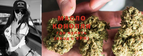 не бодяженный Новодвинск