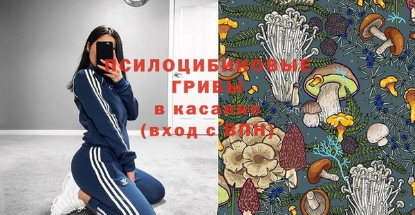 СК Новокубанск