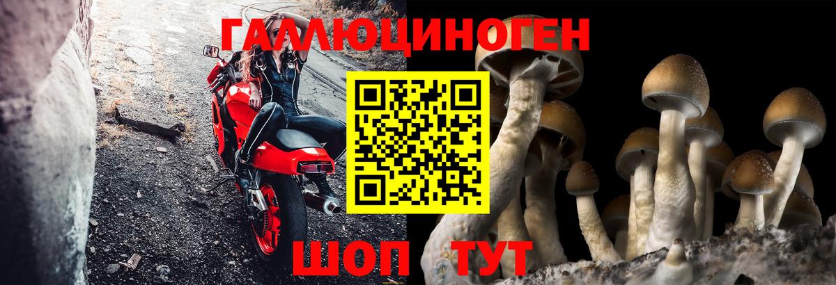 Псилоцибиновые грибы MAGIC MUSHROOMS Старая Купавна